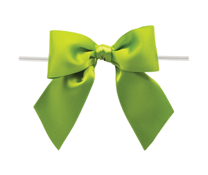 Ribbon Warehouse_0548 Kiwi Twist Tie Bow